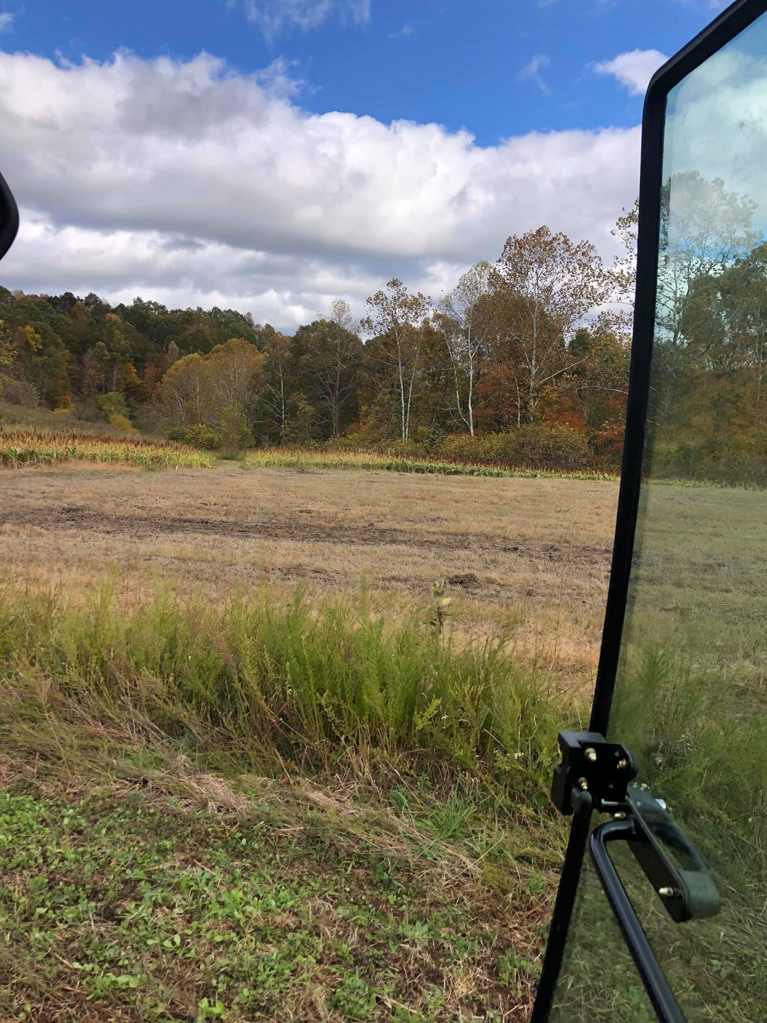 Looking over Hunting Plot on Whitetail Deer Hunting land in Kentucky