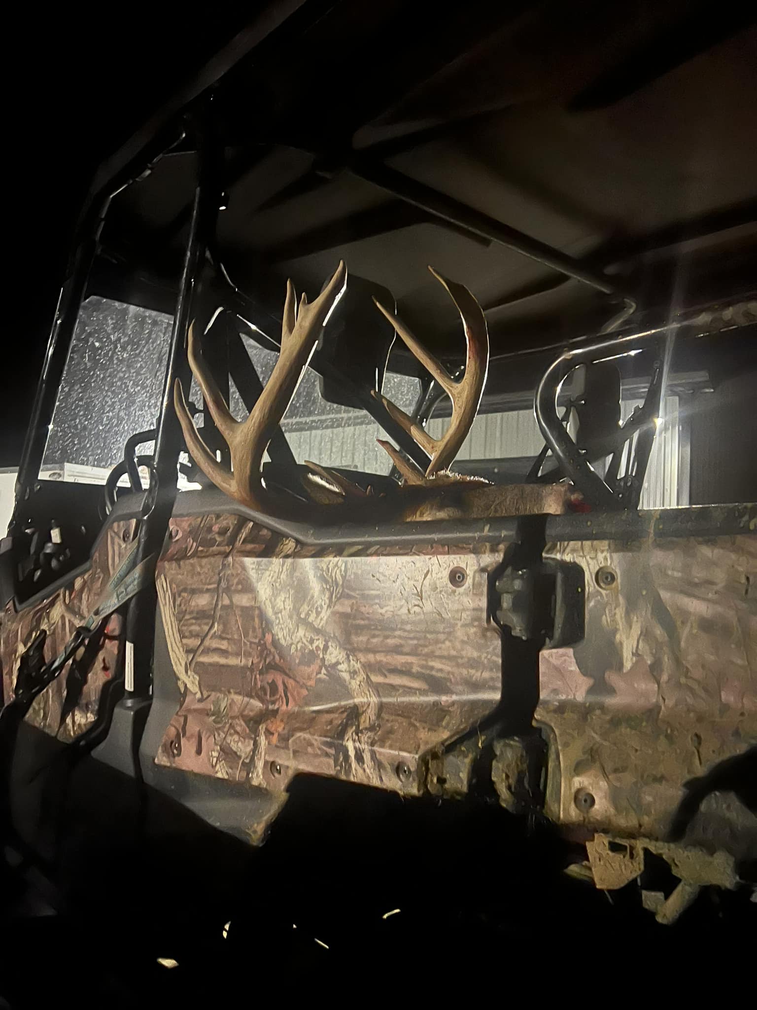 A large buck with impressive antlers is loaded onto a camouflage ATV at night.