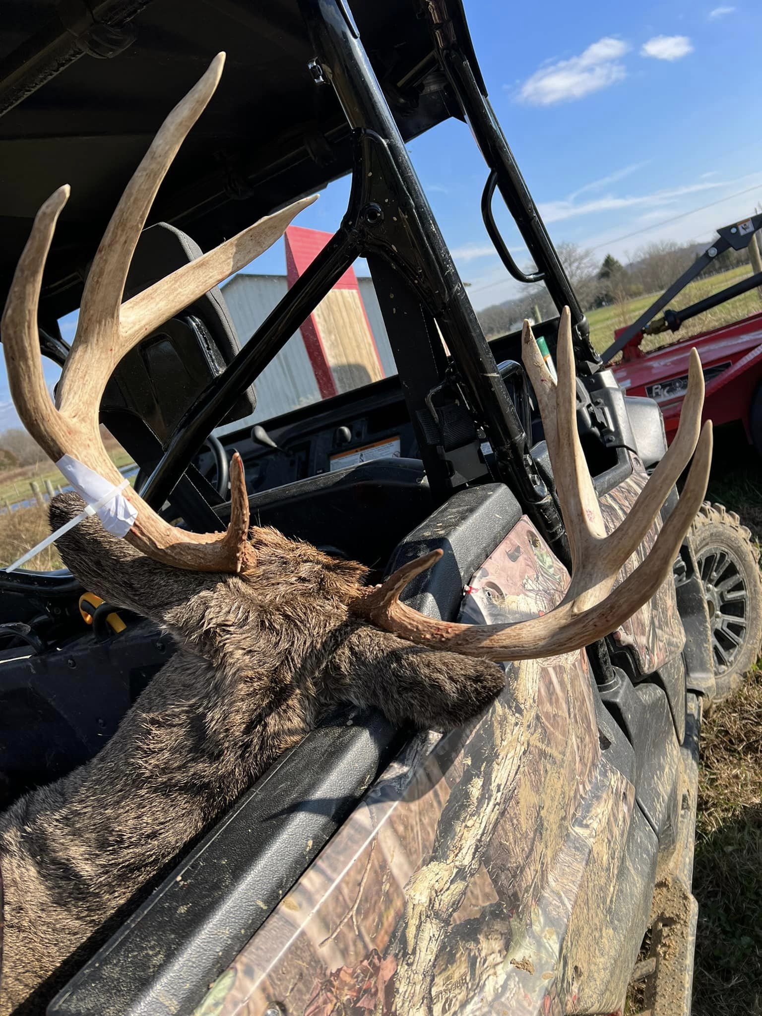 A large buck with impressive antlers lies in an all-terrain vehicle.