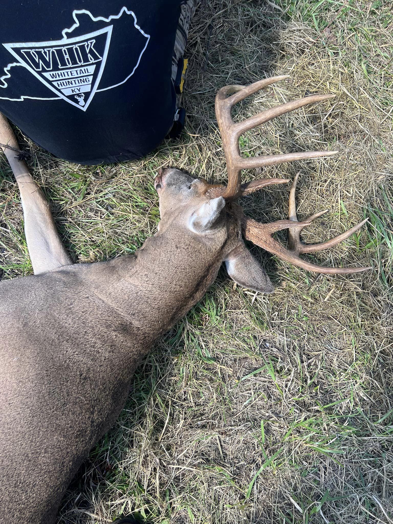 A mature buck harvested at Whitetail Hunting Kentucky with impressive antlers.